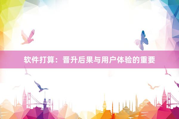 软件打算：晋升后果与用户体验的重要
